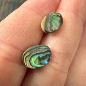Elegant Abalone Shell Stud Earrings